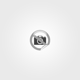 Moodle
